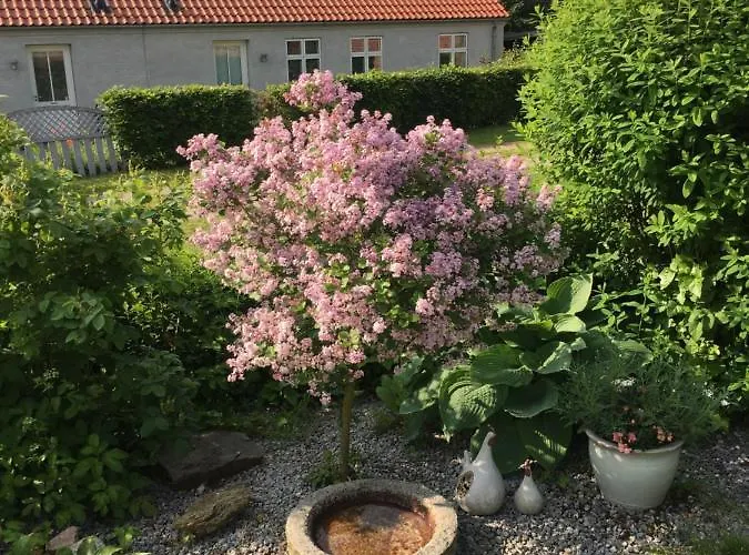 Anneks Til Bondehus Pansiyon