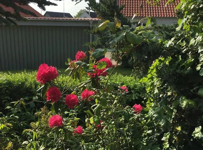 Anneks Til Bondehus Pansiyon *